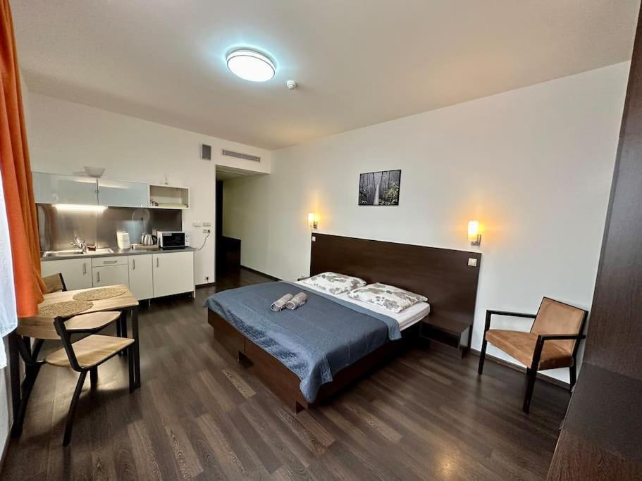 Apartman Priamo Na Hlavnej Ulici コシツェ エクステリア 写真