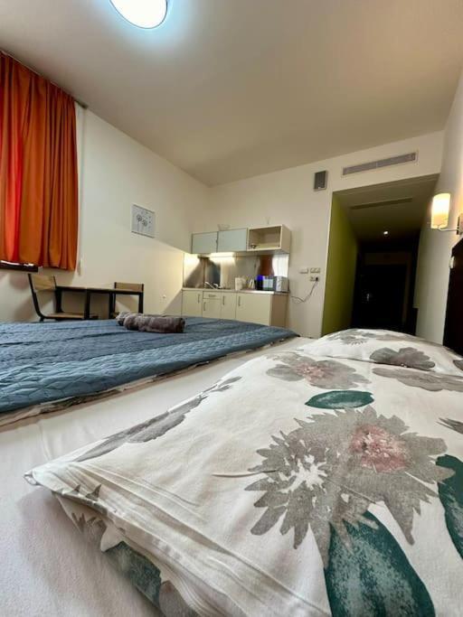 Apartman Priamo Na Hlavnej Ulici コシツェ エクステリア 写真