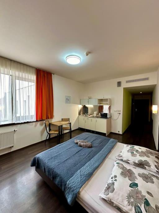 Apartman Priamo Na Hlavnej Ulici コシツェ エクステリア 写真